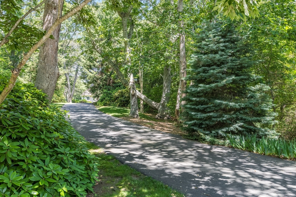 79 Clowes Dr
