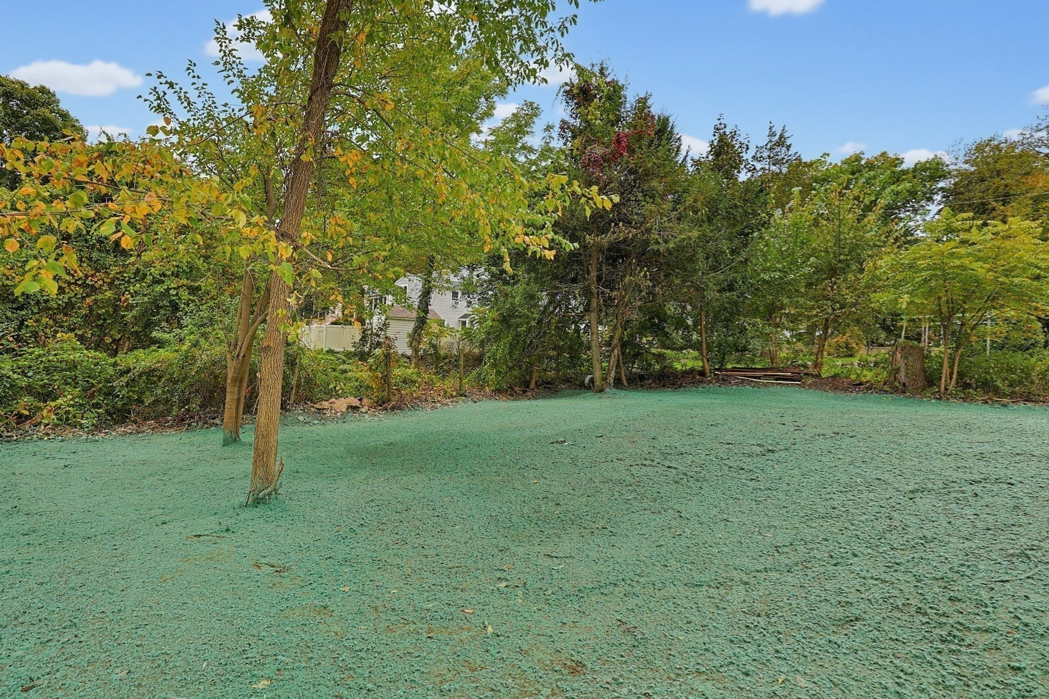 6 Harris Ave, Milford, MA, 6 Harris Ave, Milford, MA Photo #13