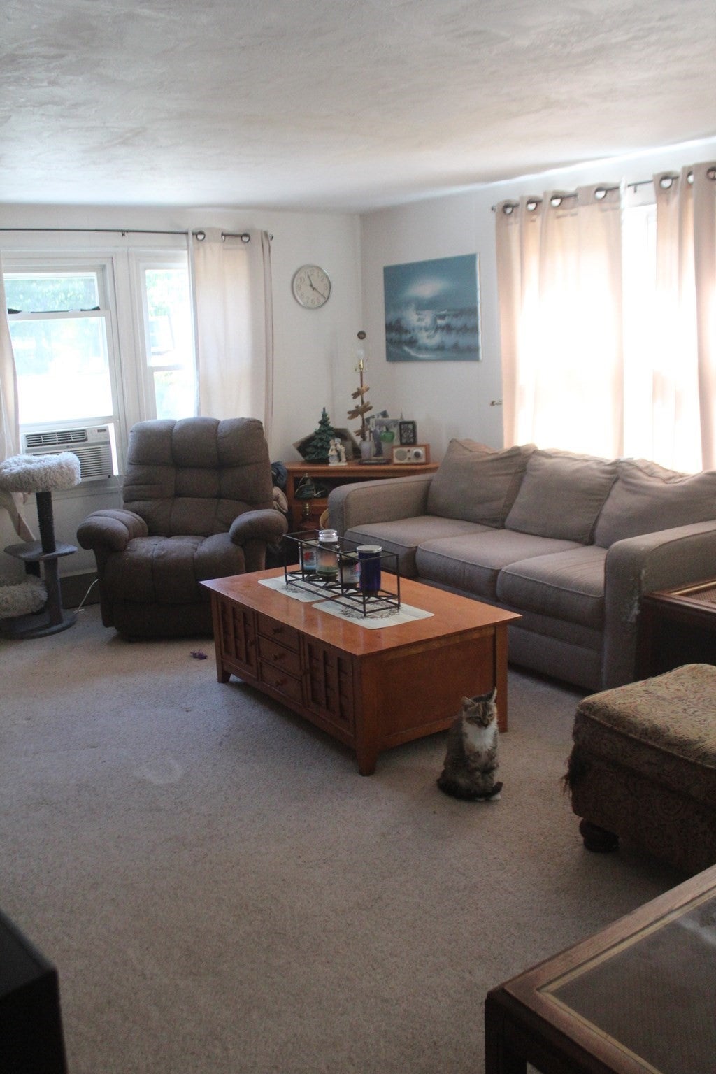 39-1 South Meadow Village