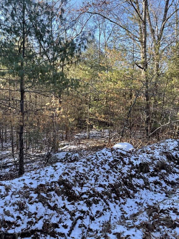 Sherborn, Massachusetts 01770, United States, ,Land,Active,2963