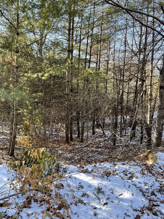 Sherborn, Massachusetts 01770, United States, ,Land,Active,2963