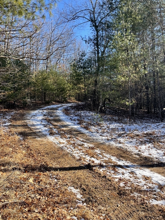 Sherborn, Massachusetts 01770, United States, ,Land,Active,2963