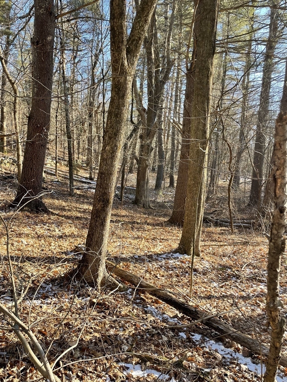 Sherborn, Massachusetts 01770, United States, ,Land,Active,2963