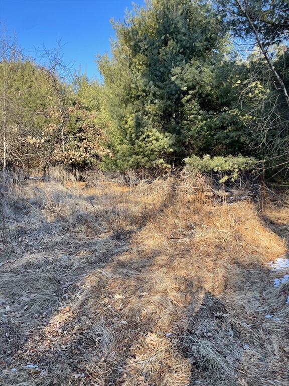 Sherborn, Massachusetts 01770, United States, ,Land,Active,2963