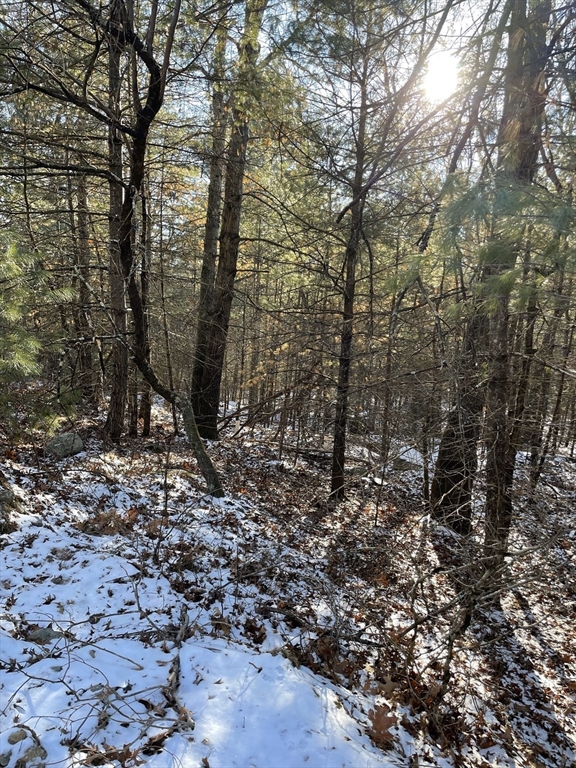 Sherborn, Massachusetts 01770, United States, ,Land,Active,2963