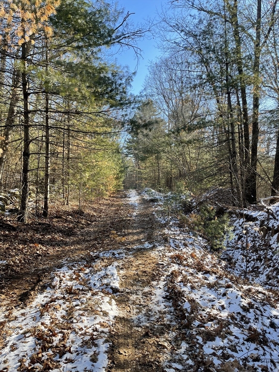 Sherborn, Massachusetts 01770, United States, ,Land,Active,2963