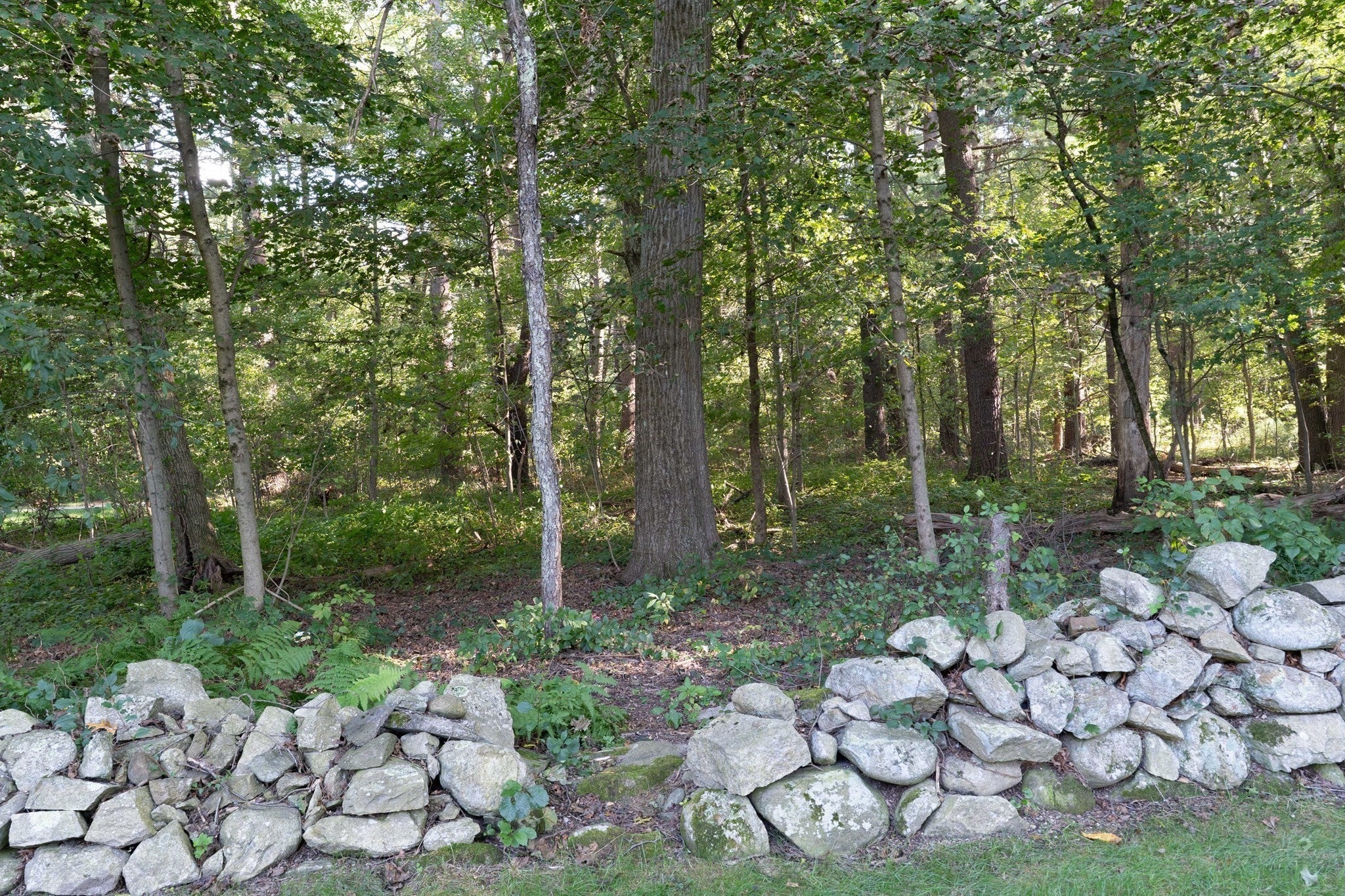 14 Delaney Ave, Dudley, MA, 14 Delaney Ave, Dudley, MA Photo #38