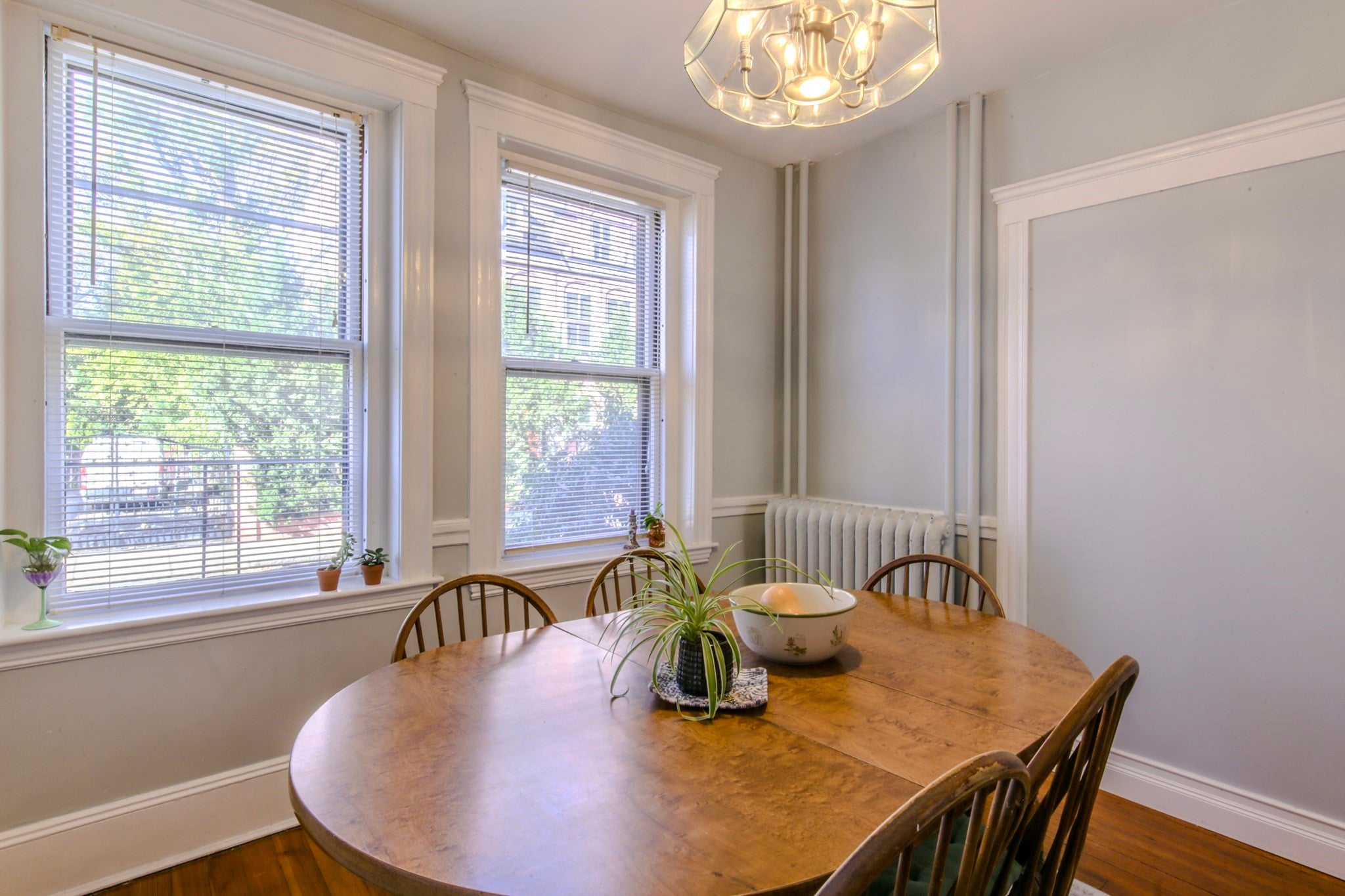 19 Netherlands Rd #1, Brookline, MA, 19 Netherlands Rd #1, Brookline, MA Photo #5