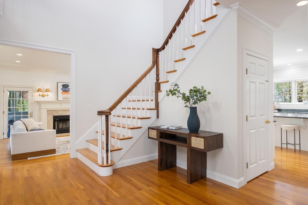 22 Forest Hill Rd