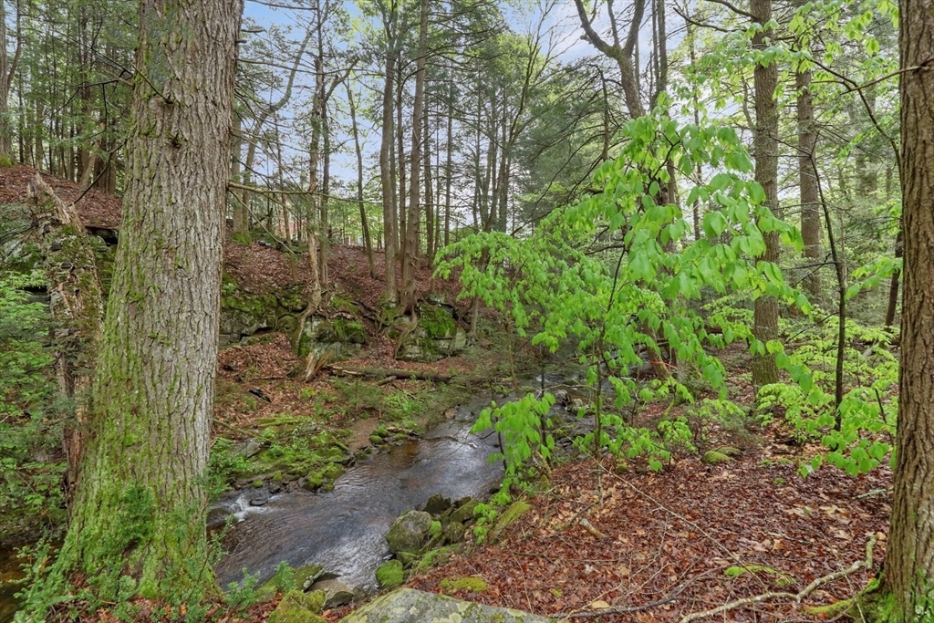 308 Hidden Lane
