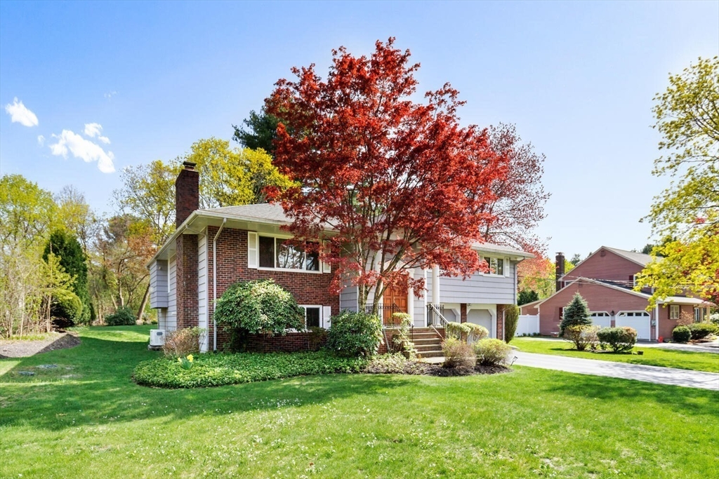 4 Goffe Rd