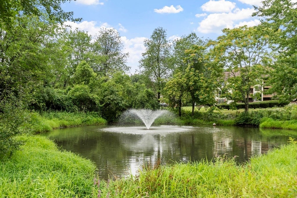124 Apache Way #124, Tewksbury, MA, 124 Apache Way #124, Tewksbury, MA Photo #37