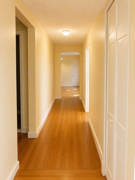 394 Broadway #2, Somerville, MA Photo #6