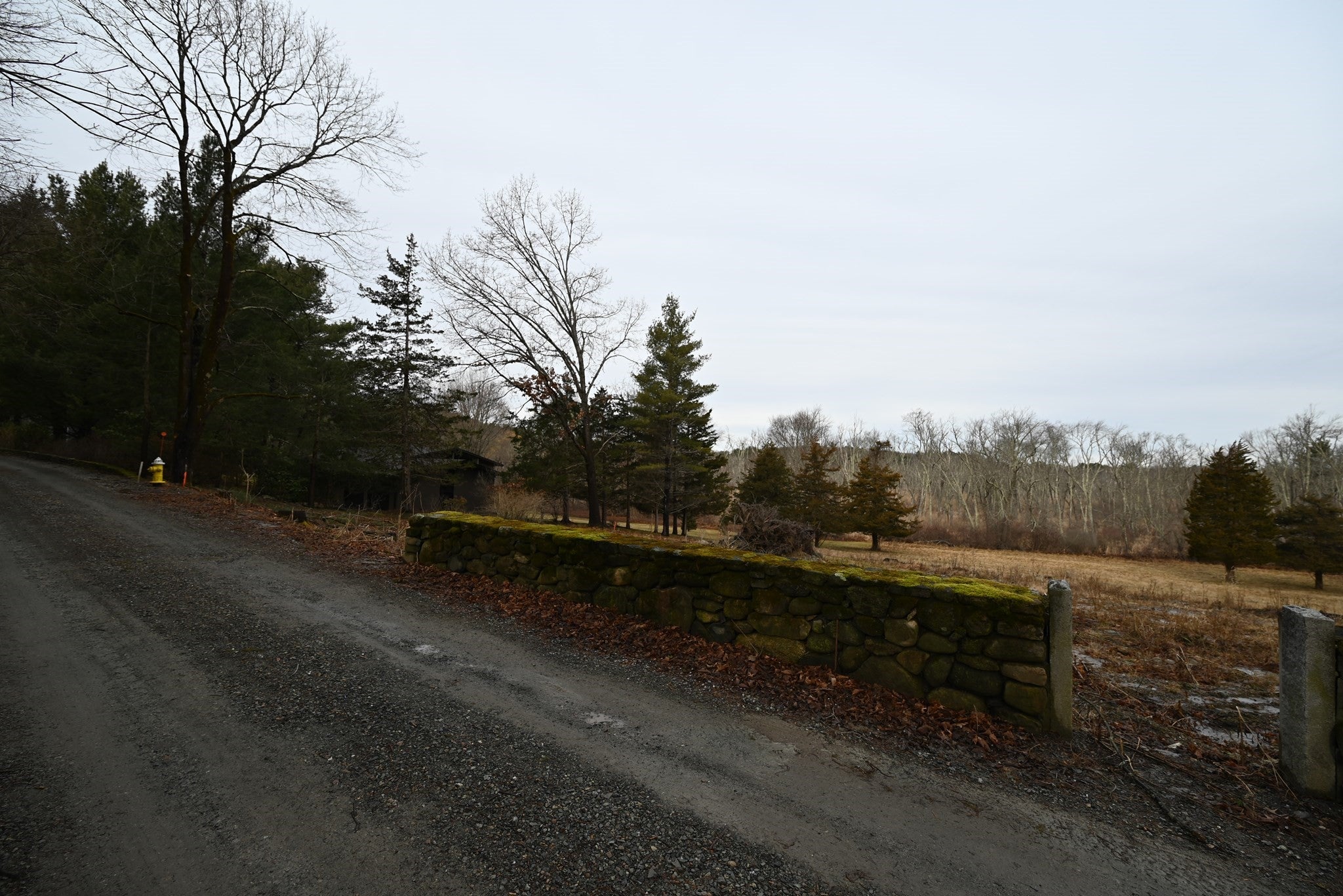 333 Cartwright Rd