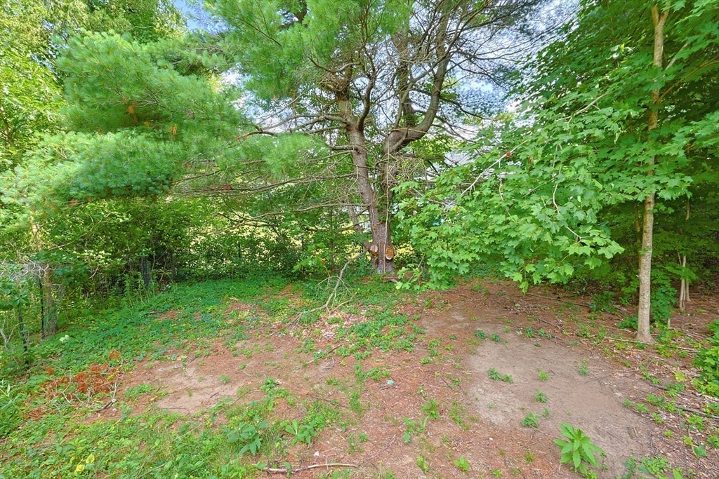 109 Pine Street, Franklin, MA, 109 Pine Street, Franklin, MA Photo #40