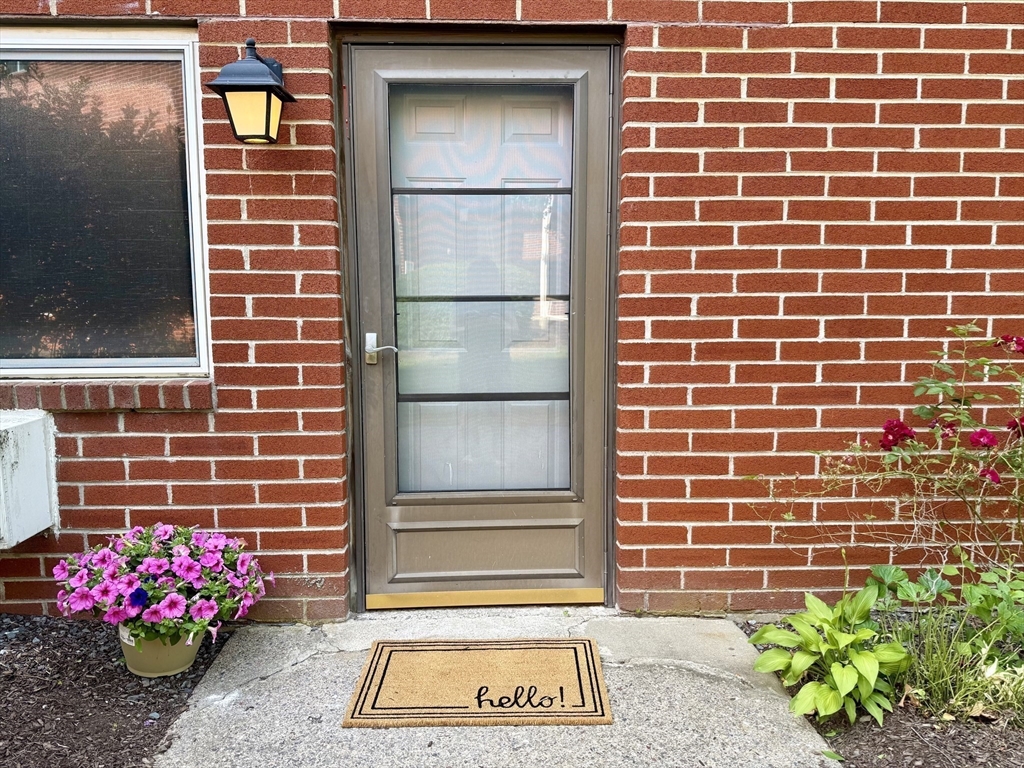 14 Dailey St A