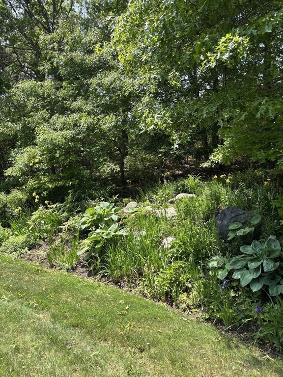 10 Mayfair Ct 10
