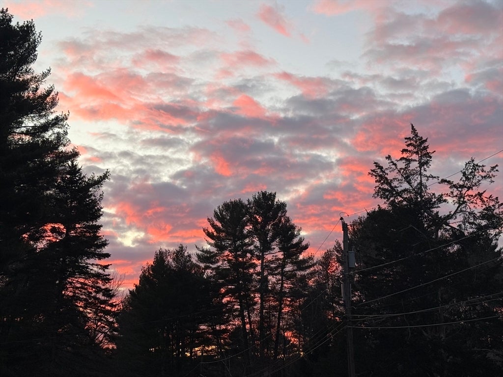 19 Snyder Rd, Medfield, MA Photo #40