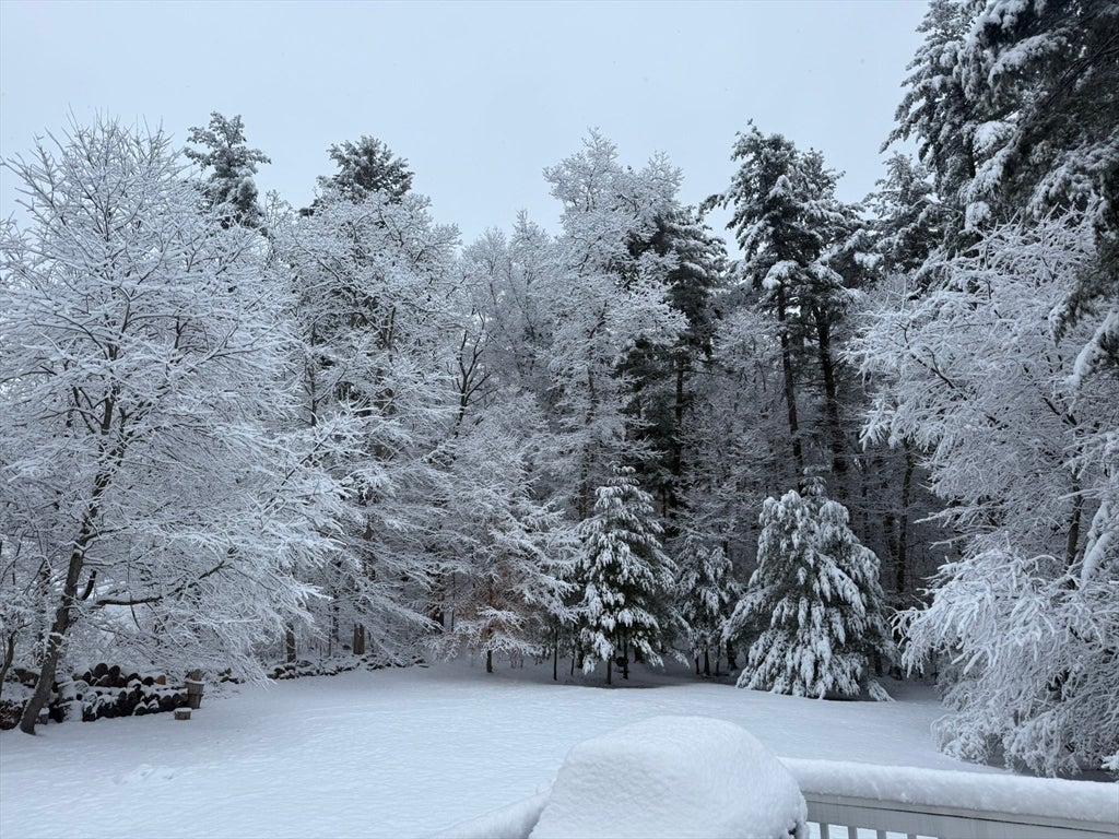 19 Snyder Rd, Medfield, MA Photo #42