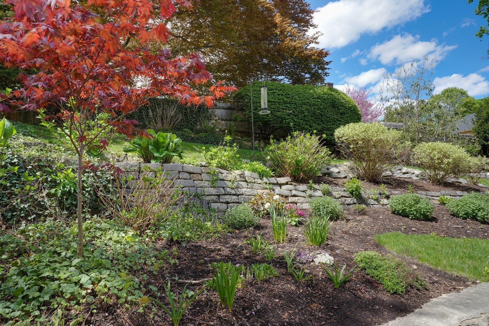 54 Elizabeth Rd, Belmont, MA, 54 Elizabeth Rd, Belmont, MA Photo #3