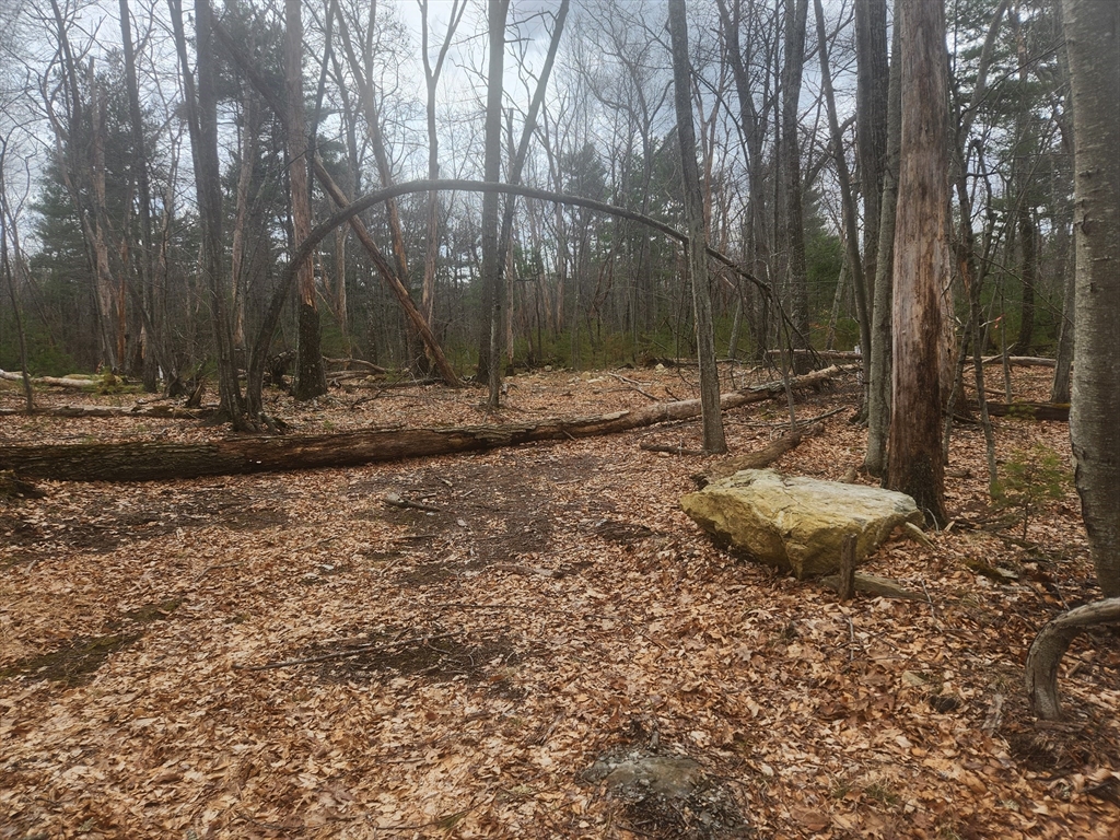 147 Washington Street Lot 2