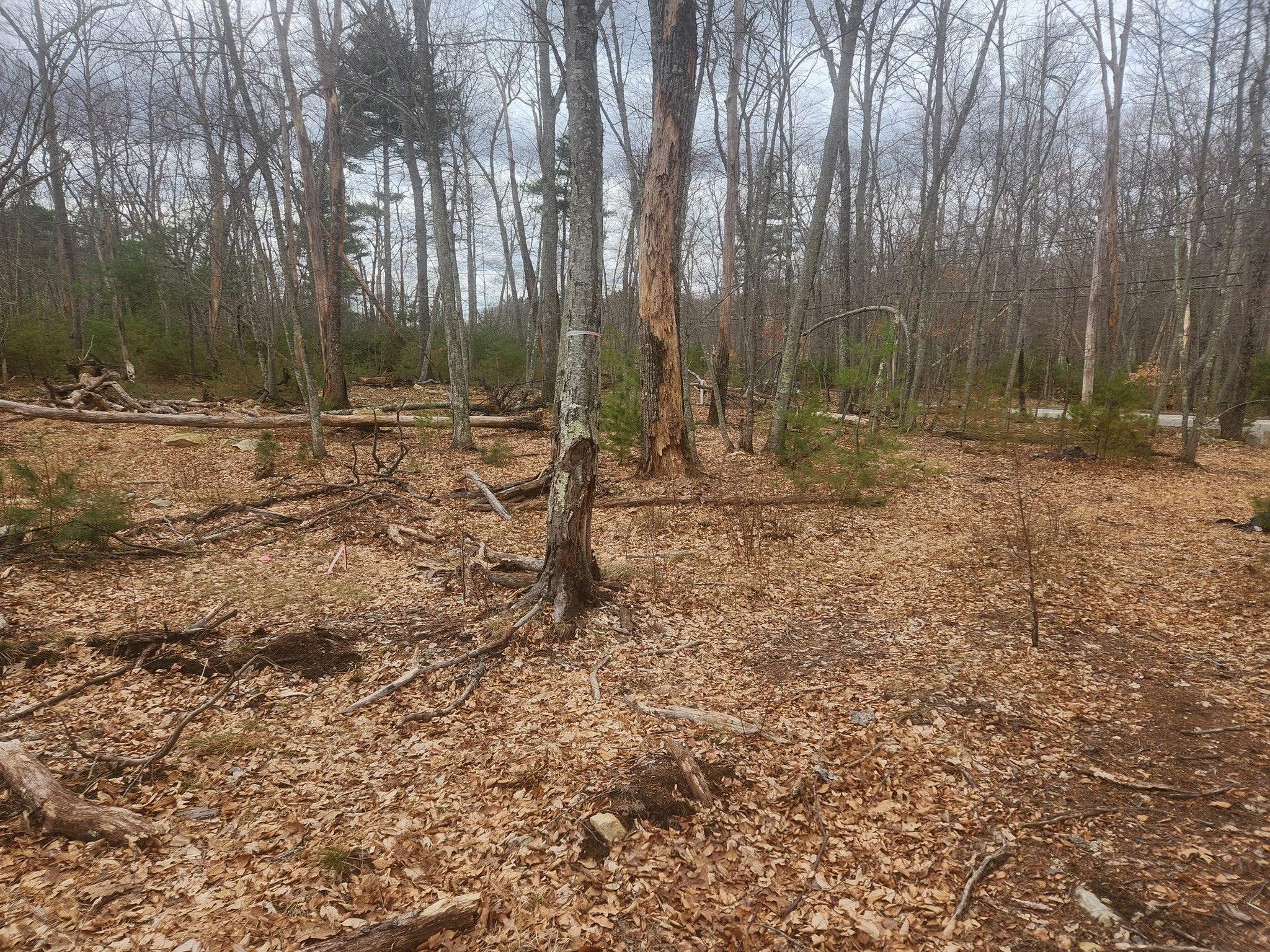 147 Washington Street Lot 2