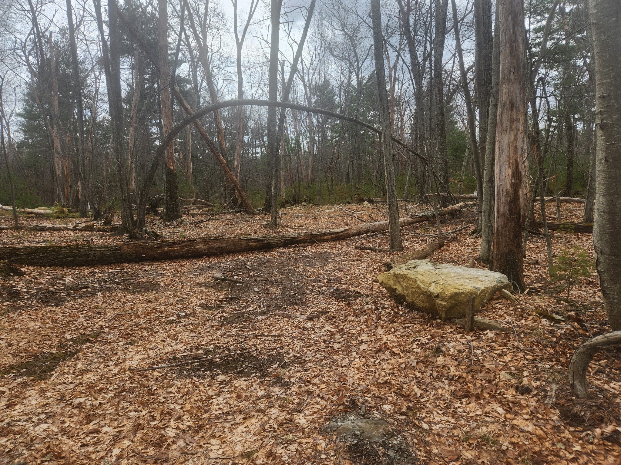 147 Washington Street Lot 2