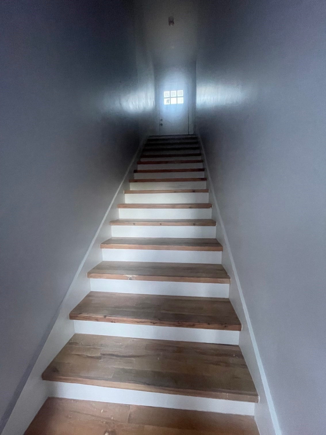 251-253 Wood Ave #2, Boston, MA, 251-253 Wood Ave #2, Boston, MA Photo #5
