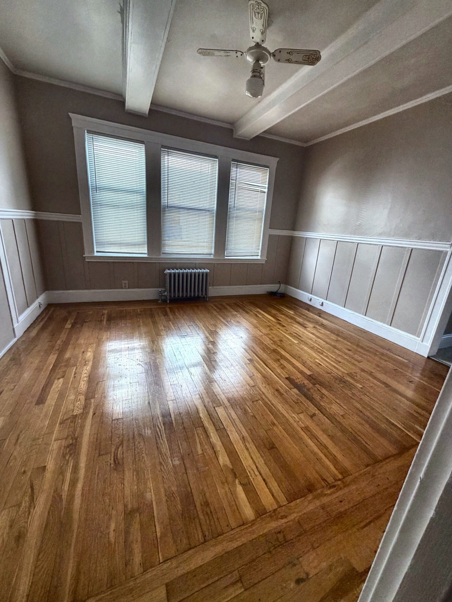 19 Brockton St #1, Boston, MA Photo #3