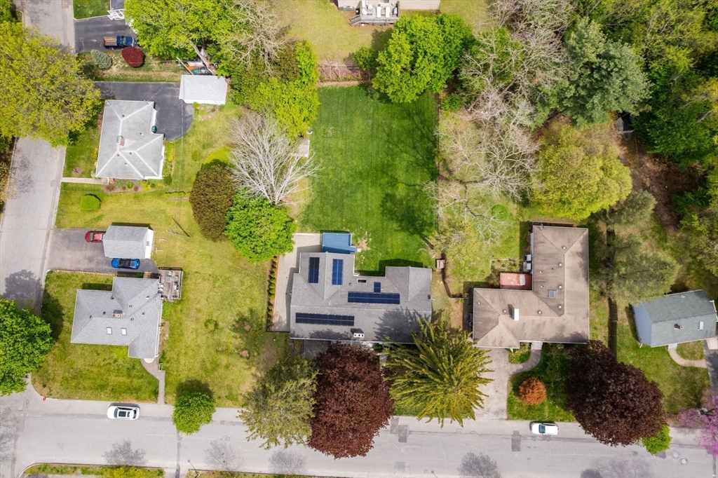 26 Winifred Ave, Worcester, MA Photo #34