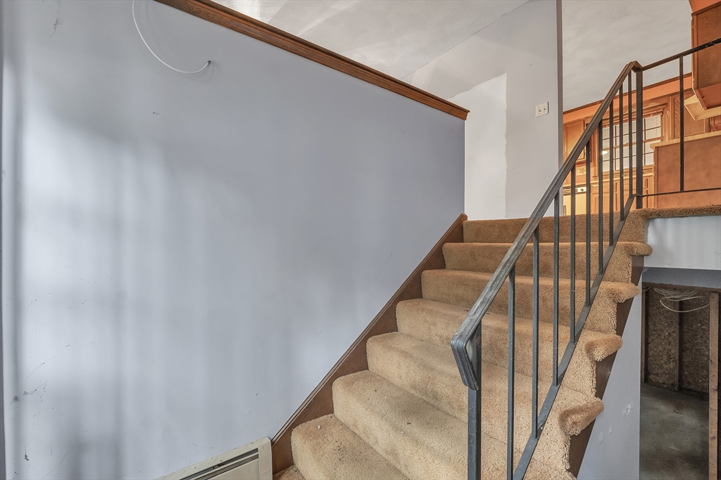47 Peltier St