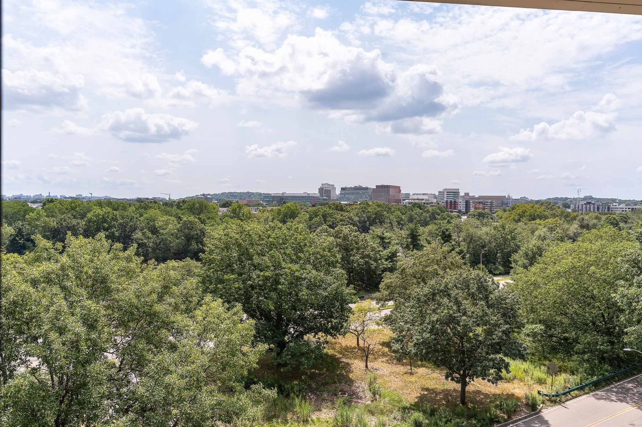 199 Coolidge Ave #313, Watertown, MA Photo #31