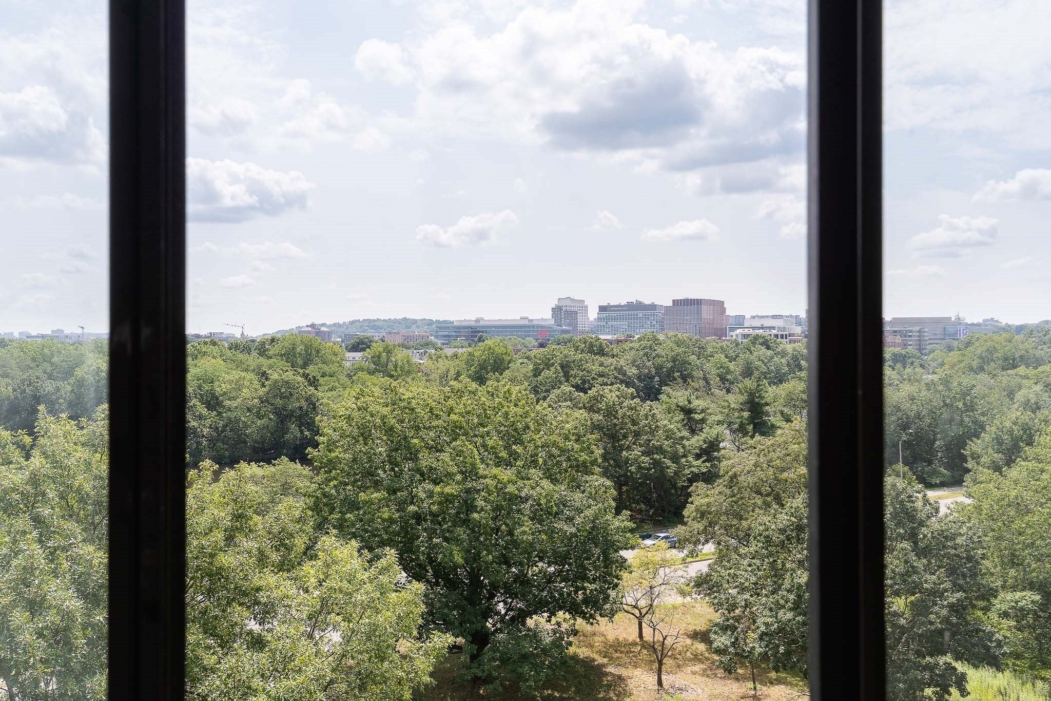 199 Coolidge Ave #313, Watertown, MA Photo #22