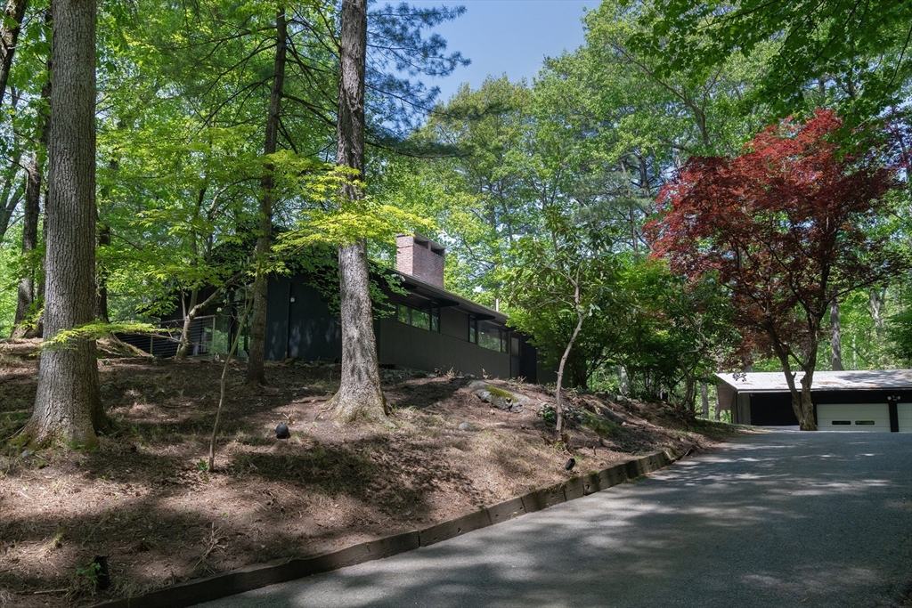 11 Hiddenwood Path