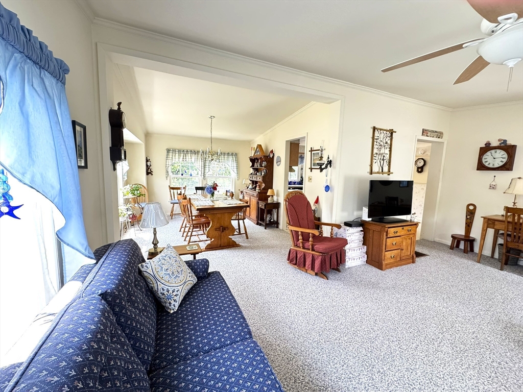 38 Trailwood Drive