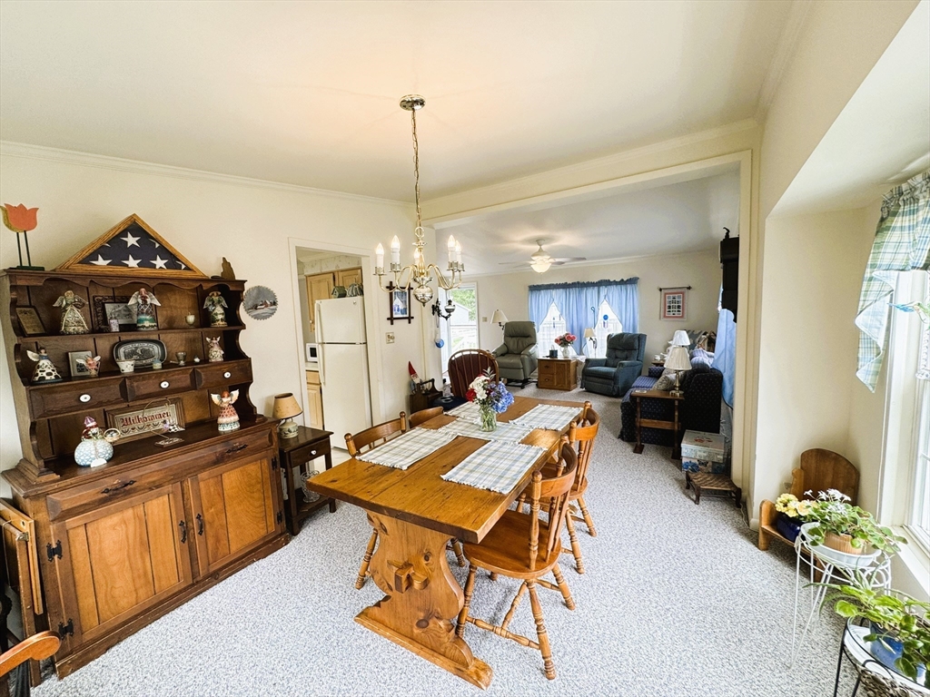 38 Trailwood Drive