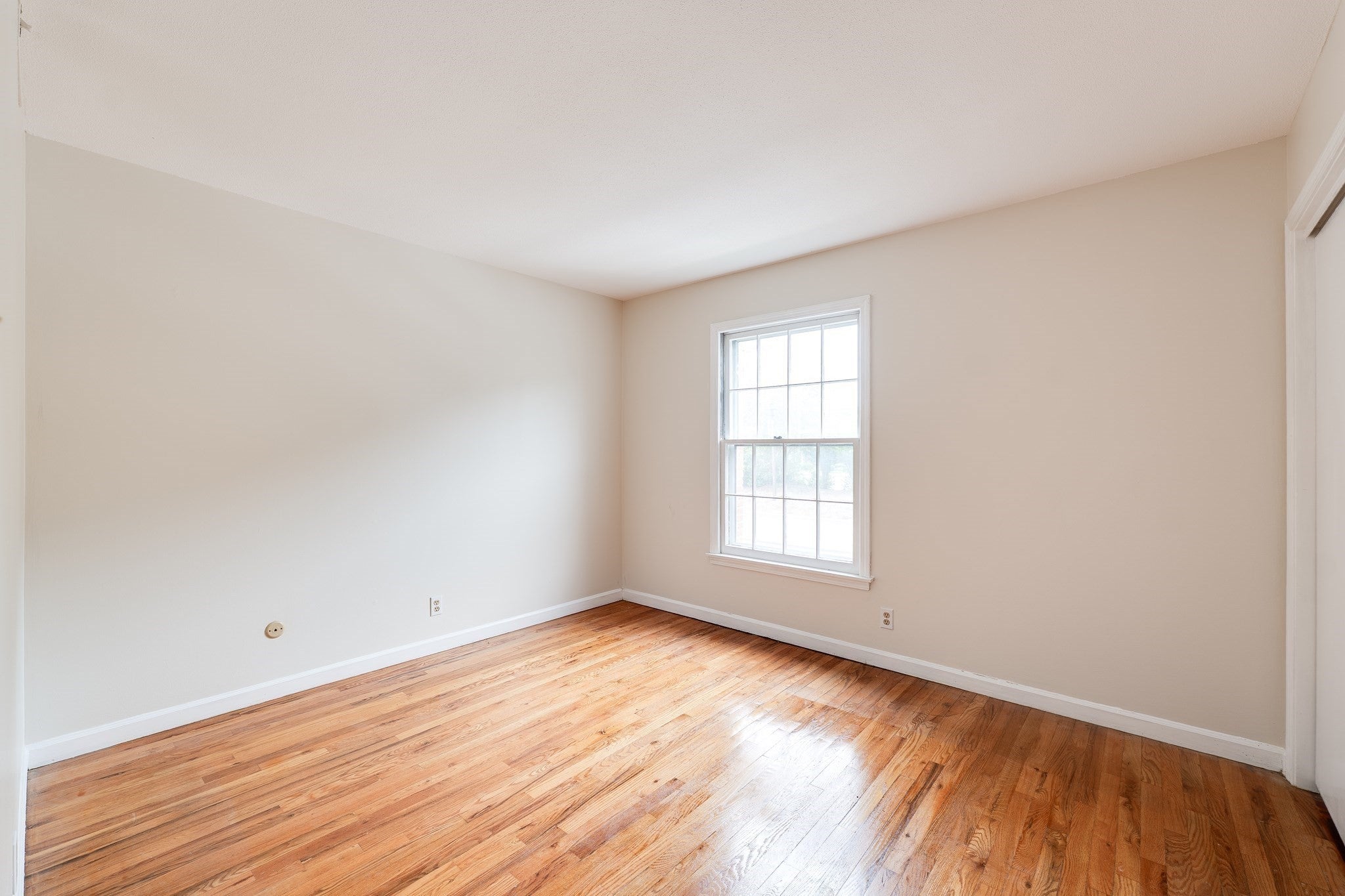 1173 Dickinson St #1173, Springfield, MA Photo #20