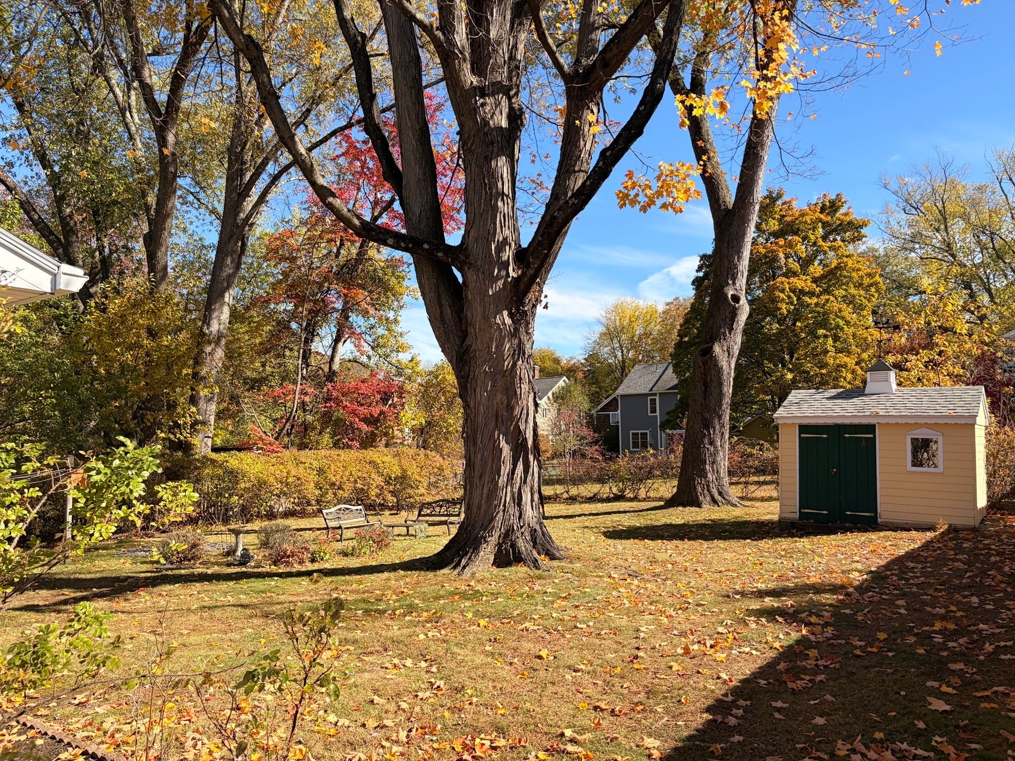 25 Murphy Ter, Northampton, MA, 25 Murphy Ter, Northampton, MA Photo #6