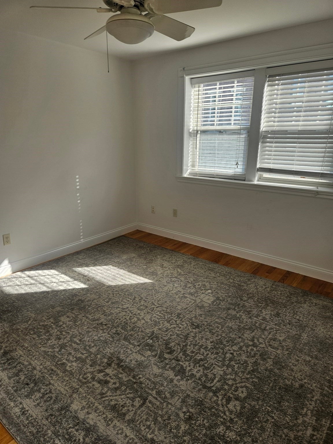 277 Bunker Hill St #2, Boston, MA, 277 Bunker Hill St #2, Boston, MA Photo #7