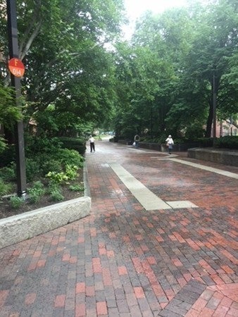 16 Harcourt St #1F, Boston, MA, 16 Harcourt St #1F, Boston, MA Photo #26