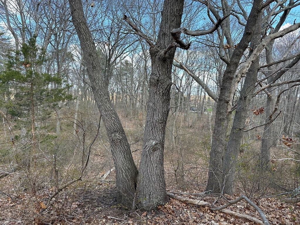 27 Old Pine Island Road