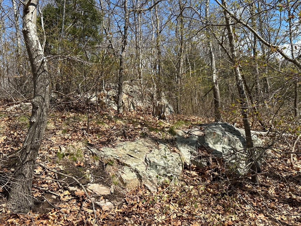 27 Old Pine Island Road