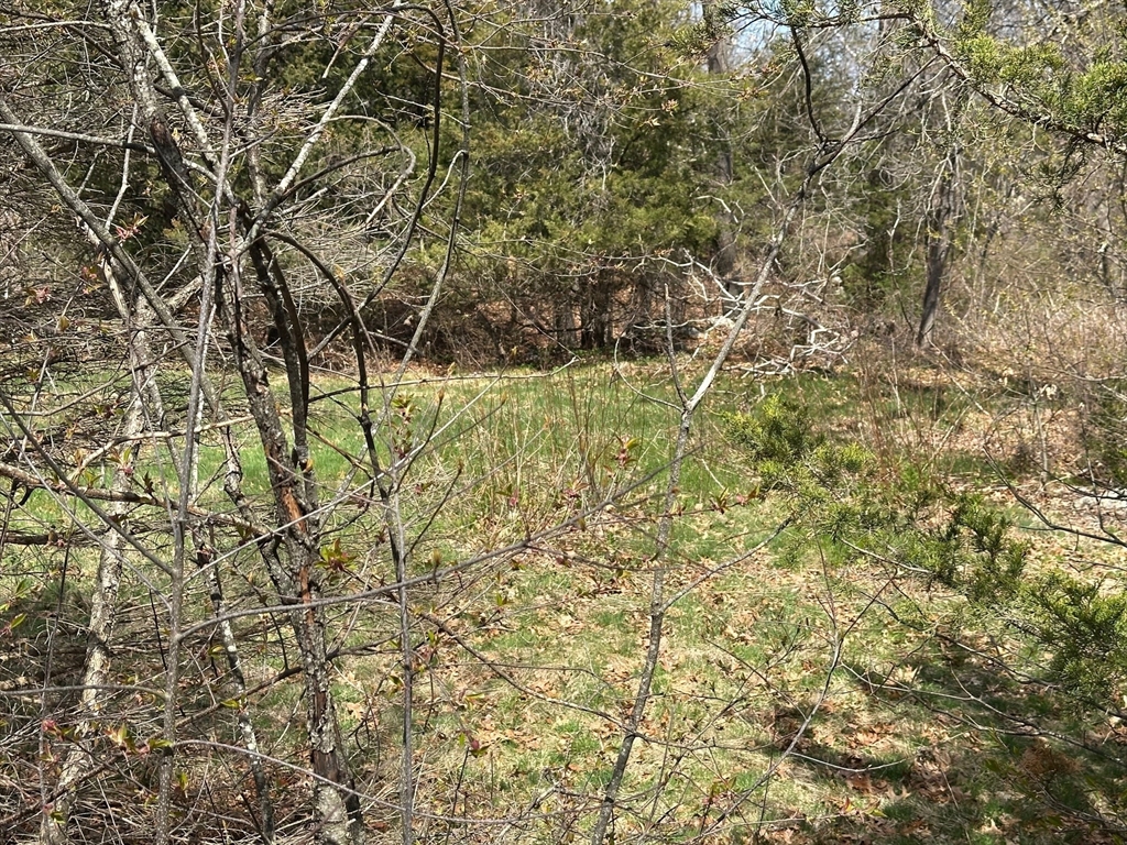 27 Old Pine Island Road