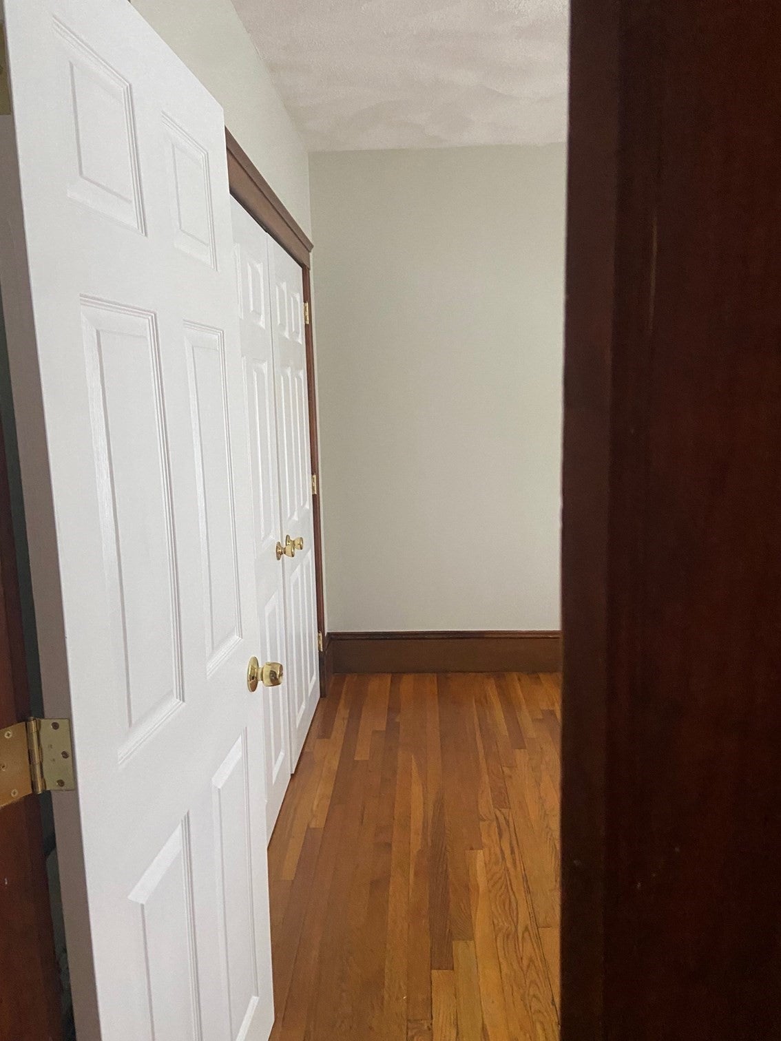 34-36 Cedrus Ave #1, Boston, MA Photo #9