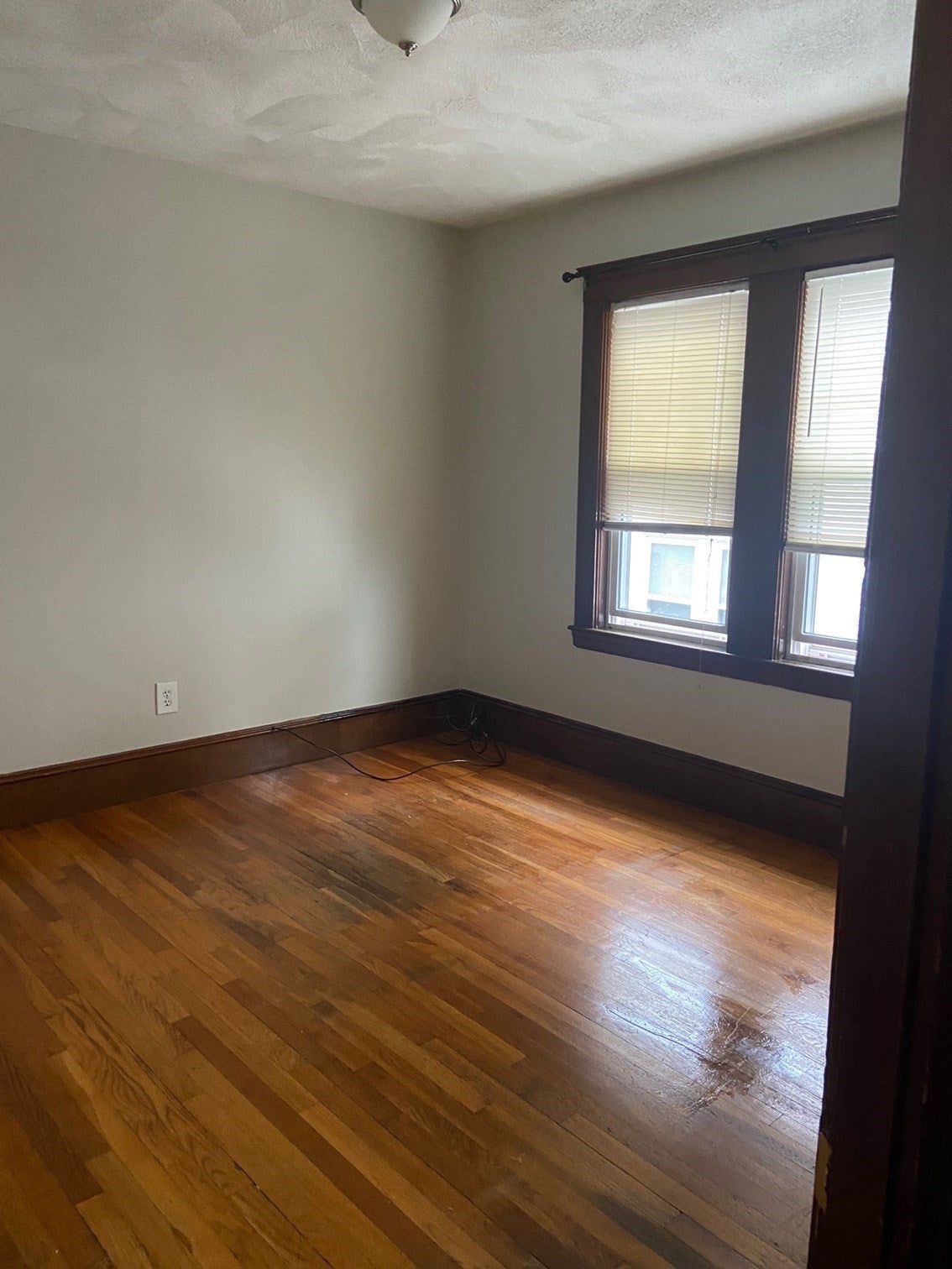 34-36 Cedrus Ave #1, Boston, MA Photo #8