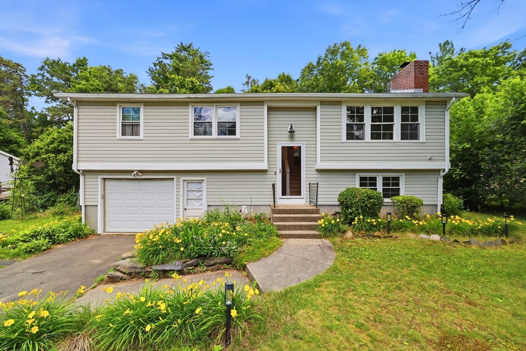 23 Phelps St