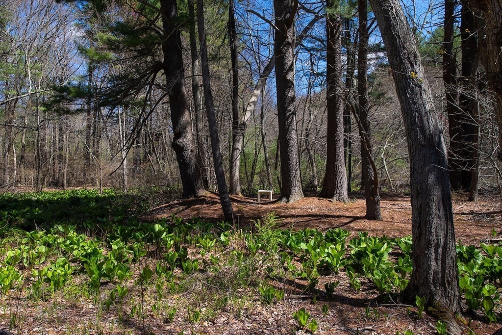 51 Turning Mill Rd, Lexington, MA Photo #29
