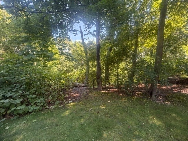 24 Central Avenue #24, Needham, MA, 24 Central Avenue #24, Needham, MA Photo #15