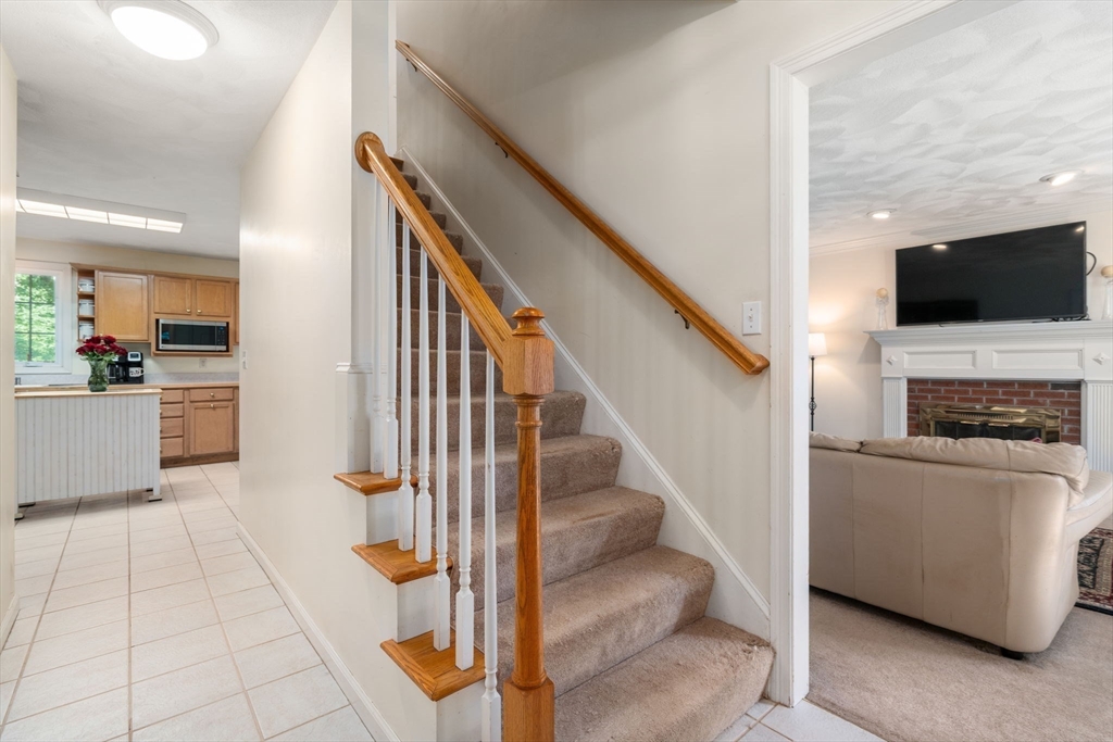 31 Butterworth Dr