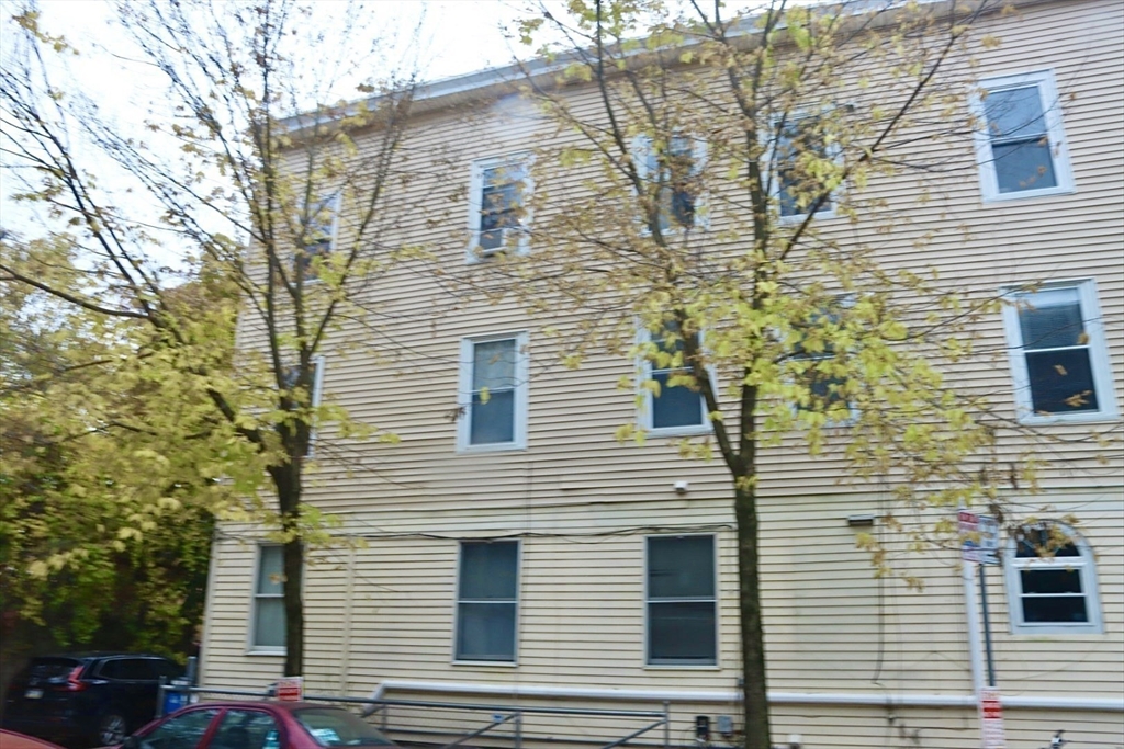 250-252 Western Ave #3, Cambridge, MA Photo #6